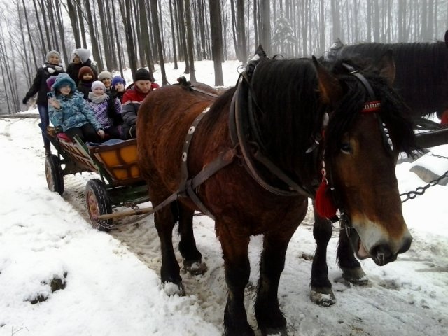 Zimowe zabawy z koniem jazda konna